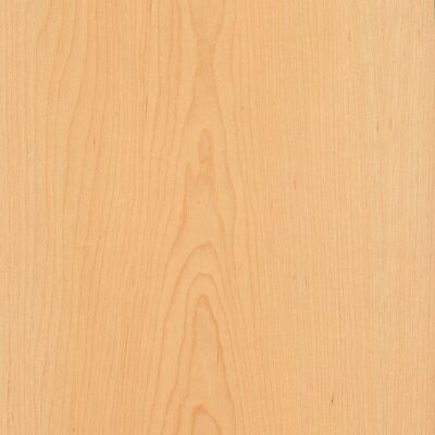 Maple Wood