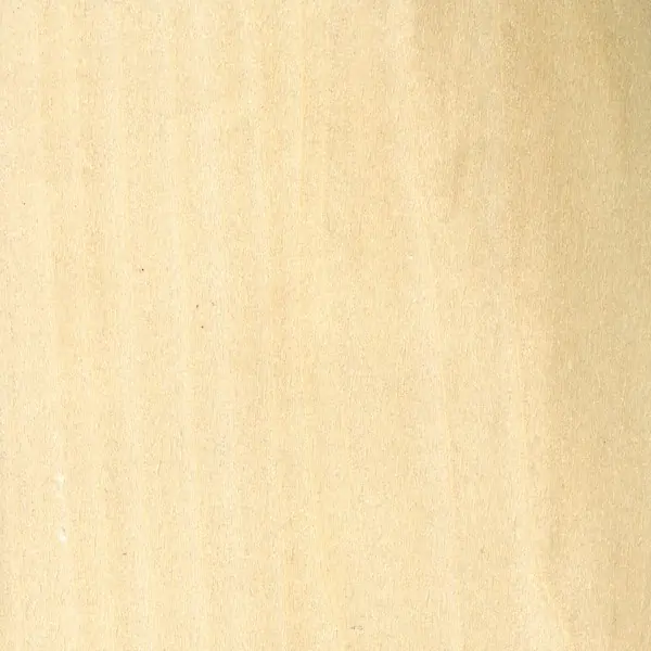 Yellow Poplar Wood Lumber